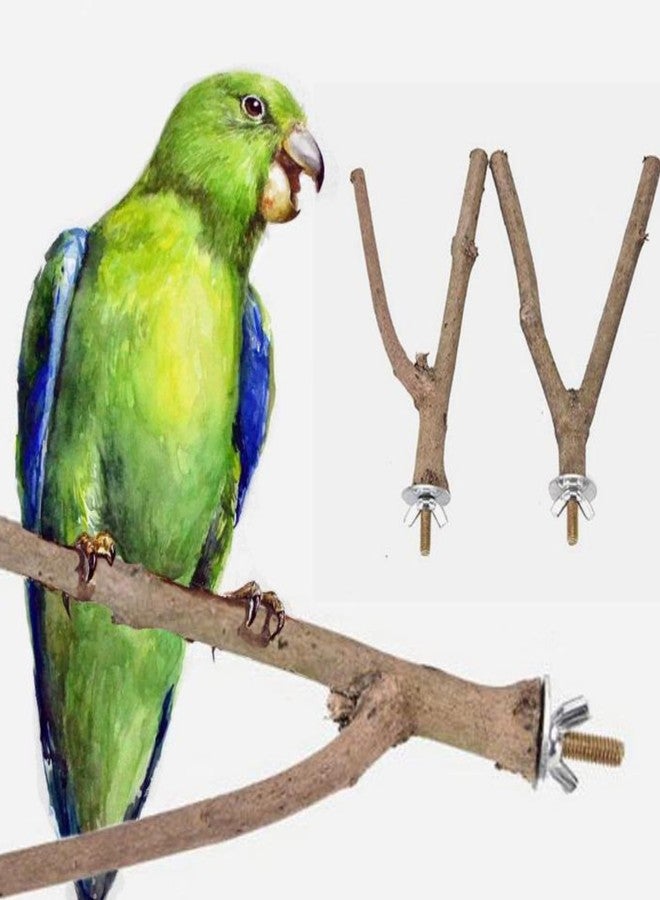 SS Organic® Pet Parrot Bird Cage Wooden Perches Platform - Play Toy Pet Parrot and Small Birds Wood Stand Rack Toy with Y Shape Branch Perches (Size 6-Inch) 1 Pics - Image 5